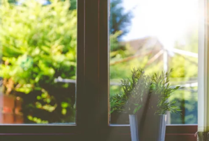 How Heat, and Light can Penetrate Windows